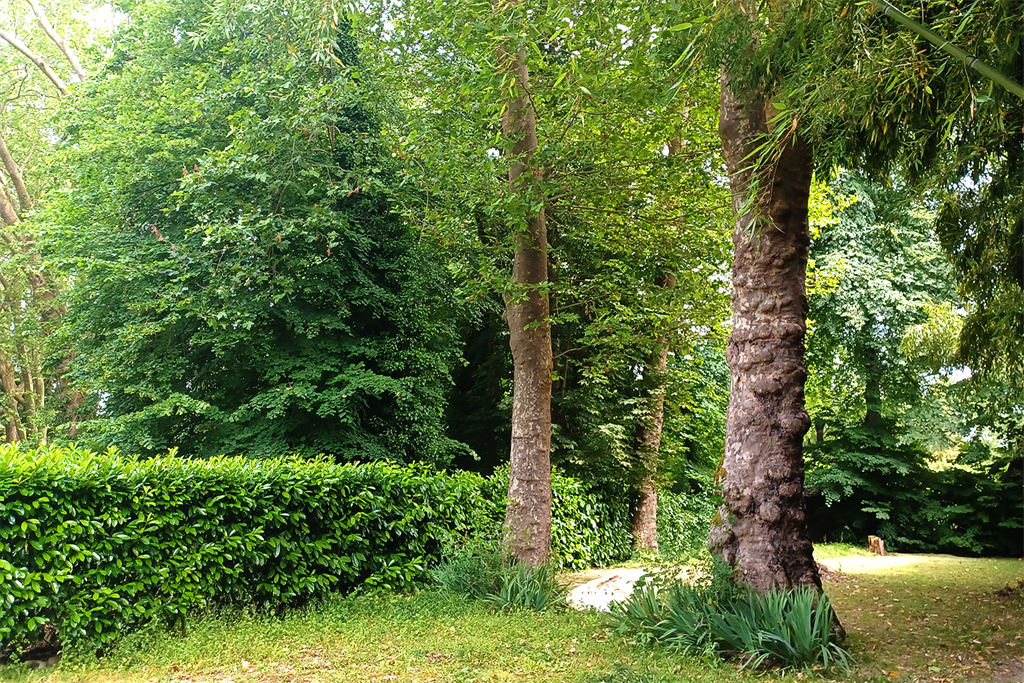 A vendre chez Beguet Associés : Montbazon - 37250 - Mauson 137m² - 3 Chambres - Jardin 800 m² - PISCINE - Accès à l’Indre