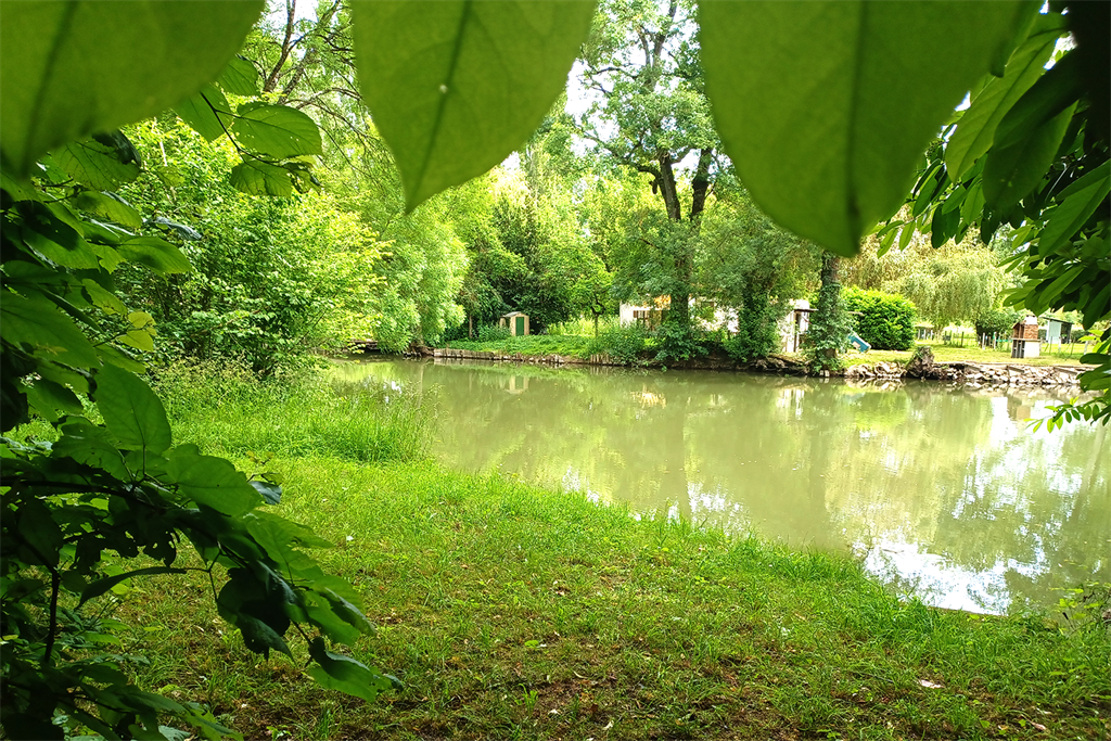 A vendre chez Beguet Associés : Montbazon - 37250 - Mauson 137m² - 3 Chambres - Jardin 800 m² - PISCINE - Accès à l’Indre
