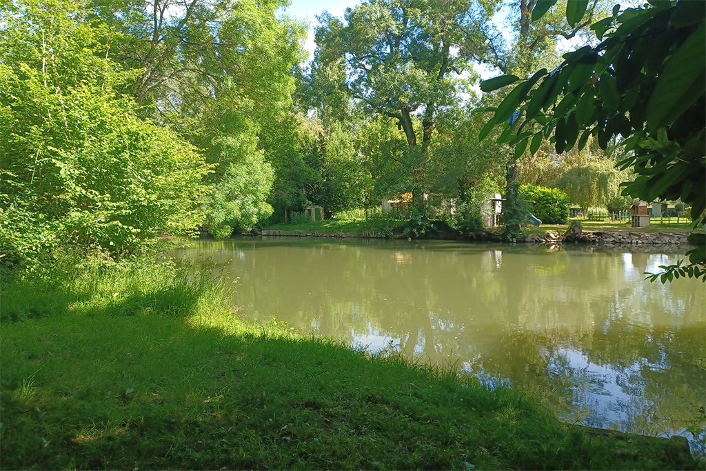A vendre chez Beguet Associés : Montbazon - 37250 - Mauson 137m² - 3 Chambres - Jardin 800 m² - PISCINE - Accès à l’Indre