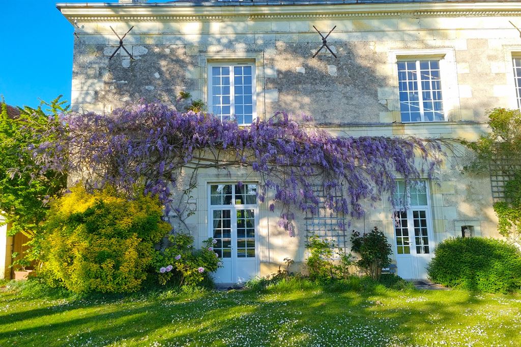 A vendre chez Beguet Associés : Touraine Loire valley Indre et Loire 37420 Maison de maître 770 m² 12 chambres Piscine Parc 4500 m²