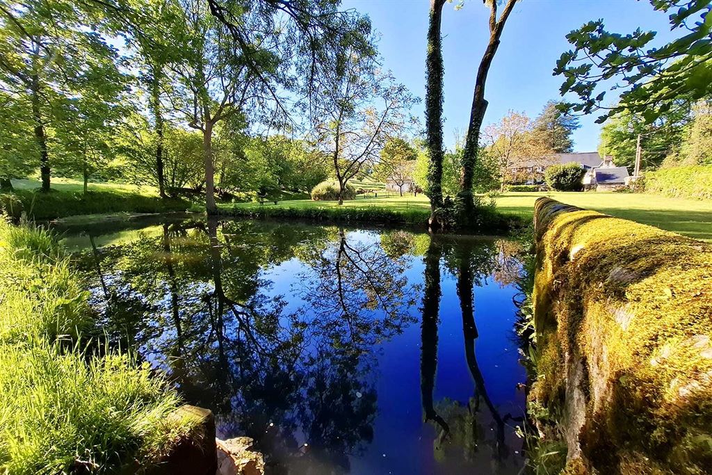 A vendre chez Beguet Associés : TOURS - 37510 - Maison 350 m² + Maison d’amis 40 m² 7 Chambres - Piscine - Parc 3.7 ha