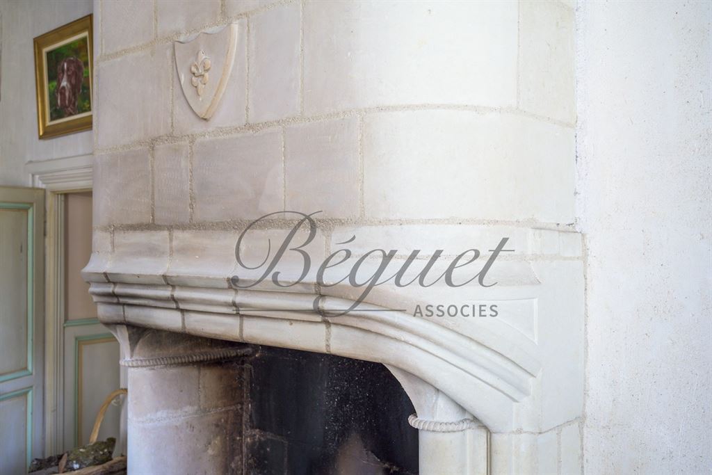 A vendre chez Beguet Associés : TOURS - 37510 - Maison 350 m² + Maison d’amis 40 m² 7 Chambres - Piscine - Parc 3.7 ha
