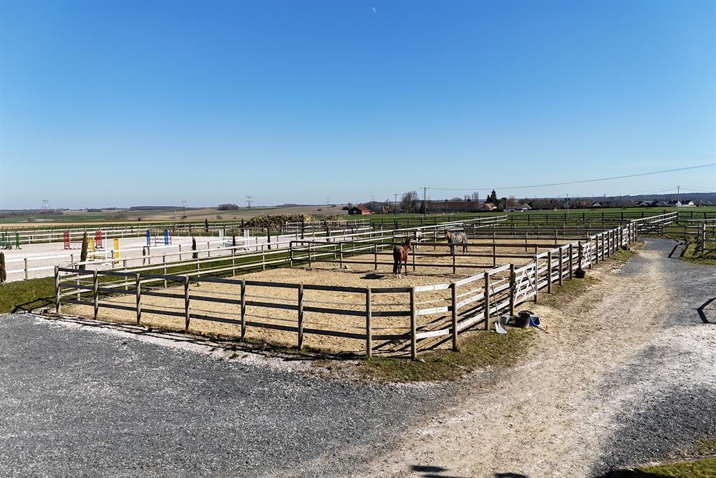 A vendre chez Beguet Associés : Seine et Marne 77 Propriété Equestre 30 box Carrière Manège Paddocks Herbages Maison 230 m² Gardien