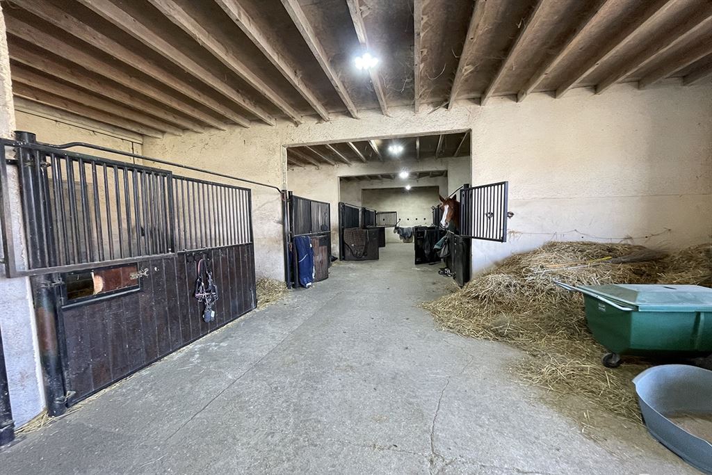 A vendre chez Beguet Associés : Seine et Marne 77 Propriété Equestre 30 box Carrière Manège Paddocks Herbages Maison 230 m² Gardien
