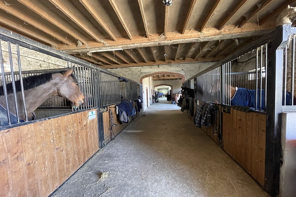 A vendre chez Beguet Associés : Seine et Marne 77 Propriété Equestre 30 box Carrière Manège Paddocks Herbages Maison 230 m² Gardien