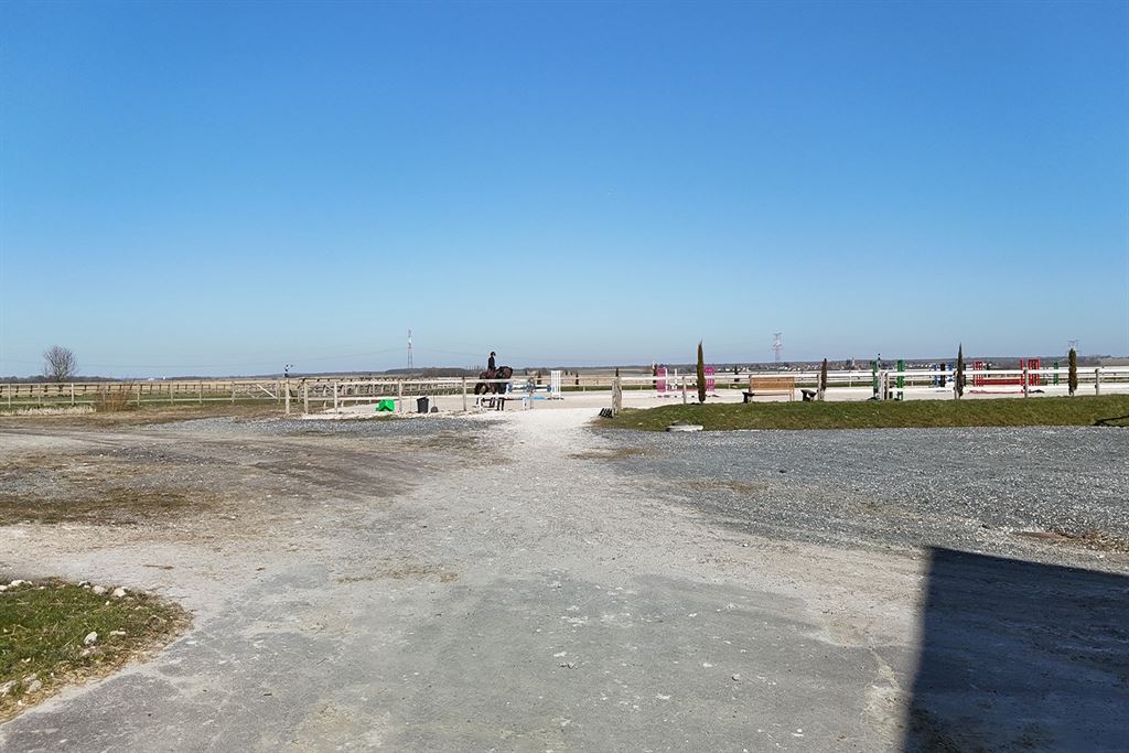 A vendre chez Beguet Associés : Seine et Marne 77 Propriété Equestre 30 box Carrière Manège Paddocks Herbages Maison 230 m² Gardien