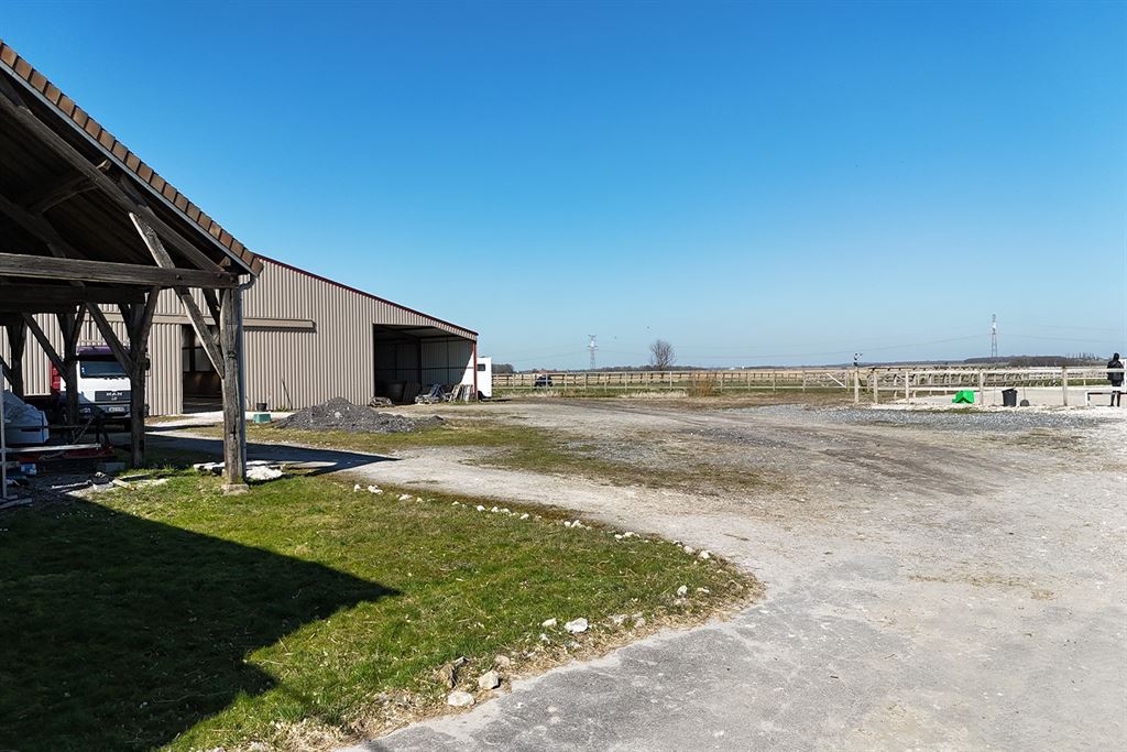 A vendre chez Beguet Associés : Seine et Marne 77 Propriété Equestre 30 box Carrière Manège Paddocks Herbages Maison 230 m² Gardien