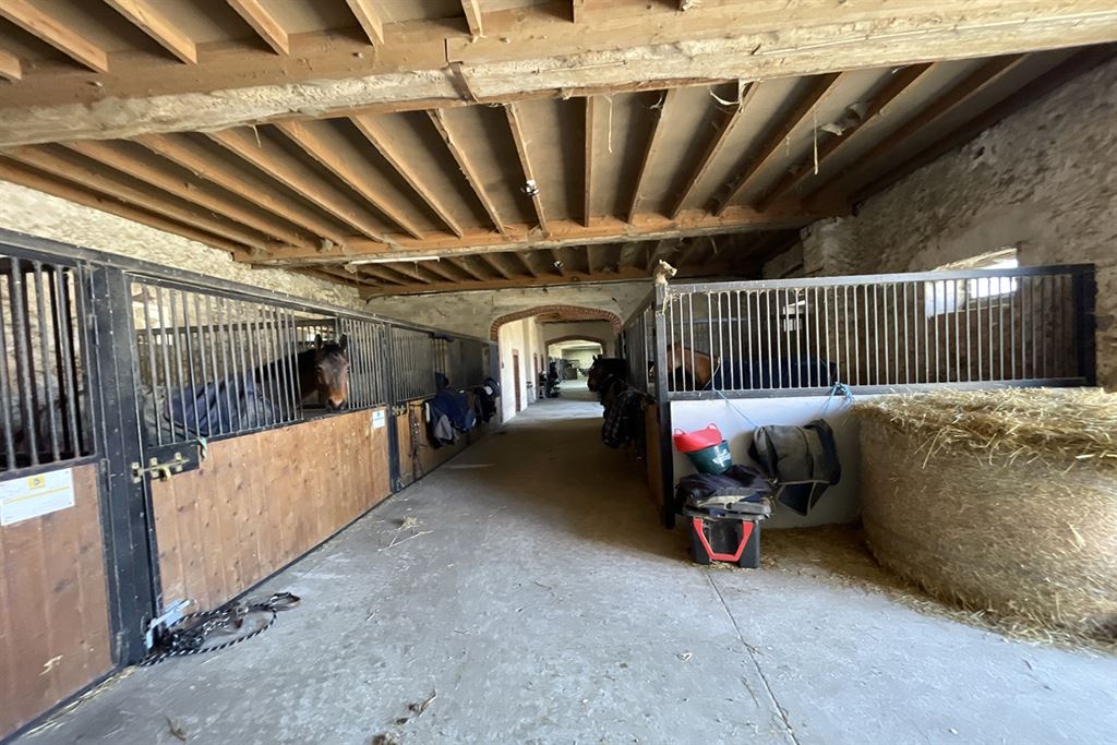 A vendre chez Beguet Associés : Seine et Marne 77 Propriété Equestre 30 box Carrière Manège Paddocks Herbages Maison 230 m² Gardien