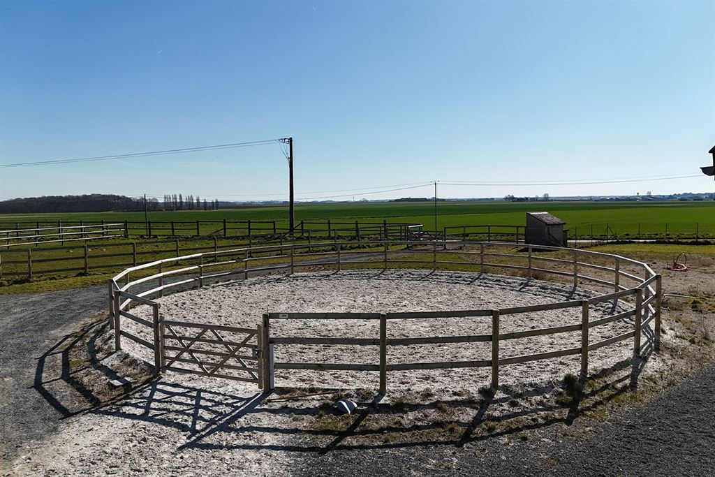 A vendre chez Beguet Associés : Seine et Marne 77 Propriété Equestre 30 box Carrière Manège Paddocks Herbages Maison 230 m² Gardien