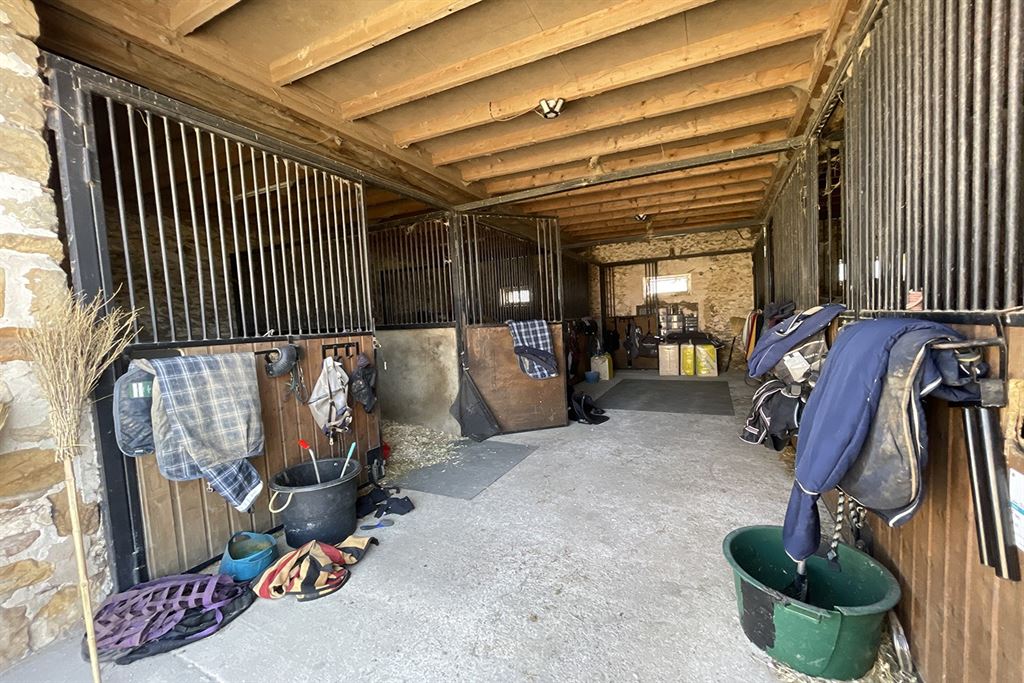 A vendre chez Beguet Associés : Seine et Marne 77 Propriété Equestre 30 box Carrière Manège Paddocks Herbages Maison 230 m² Gardien