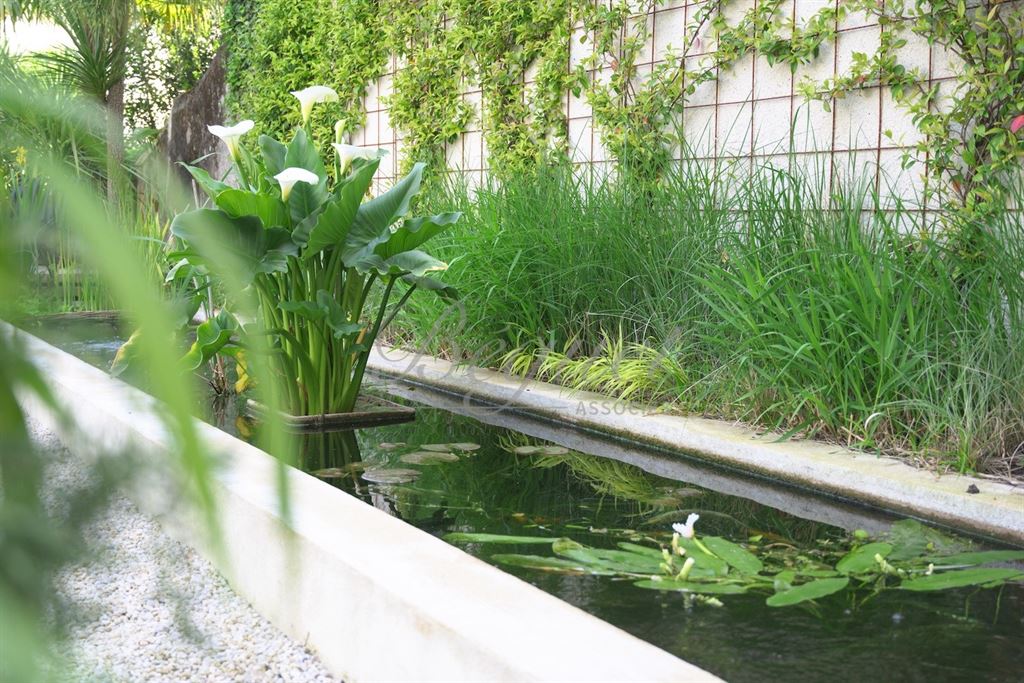 A vendre chez Beguet Associés : TOURS 37000 MAISON 262 m² 5/6 CHAMBRES 11 PIECES DEPENDANCE JARDIN