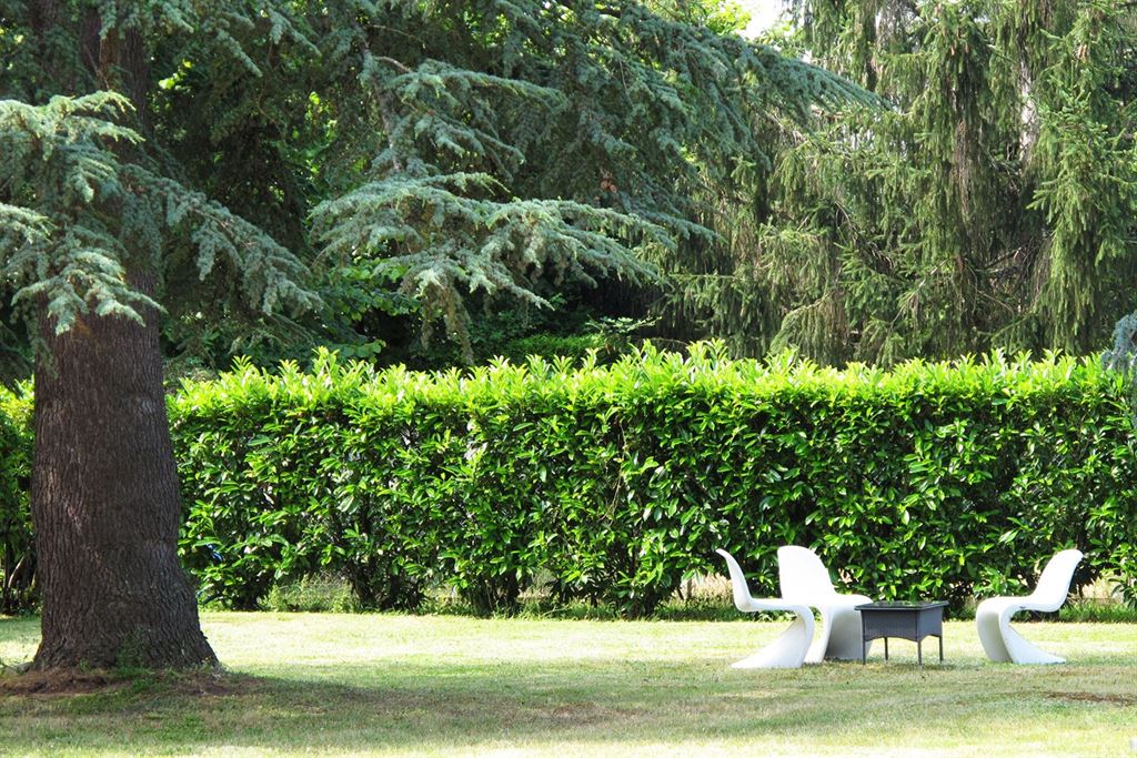 A vendre chez Beguet Associés : Amboise - 37400 - Maison - 182 m² - 4/5 Chambres - Jardin 2000 m² - Piscine