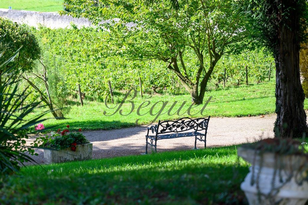 A vendre chez Beguet Associés : Vernou sur Brenne, 37210, Maison 340 m², Maison de gardien et 2 gites 160 m², 8 chambres, piscine, p
