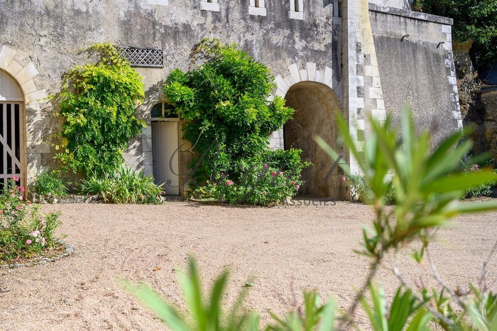 A vendre chez Beguet Associés : Vernou sur Brenne, 37210, Maison 340 m², Maison de gardien et 2 gites 160 m², 8 chambres, piscine, p