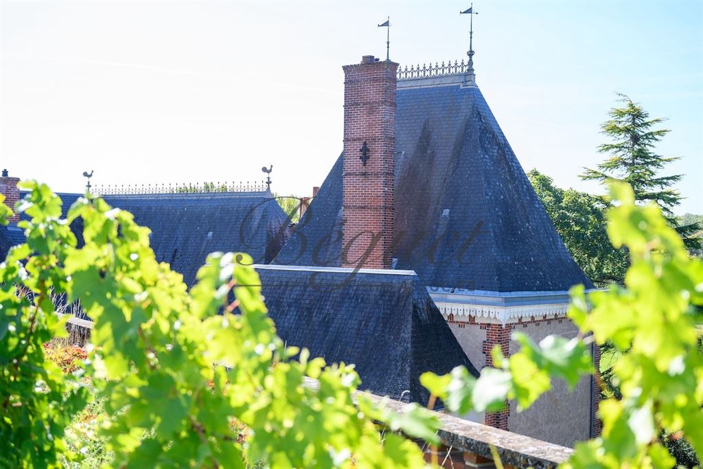 A vendre chez Beguet Associés : Vernou sur Brenne, 37210, Maison 340 m², Maison de gardien et 2 gites 160 m², 8 chambres, piscine, p