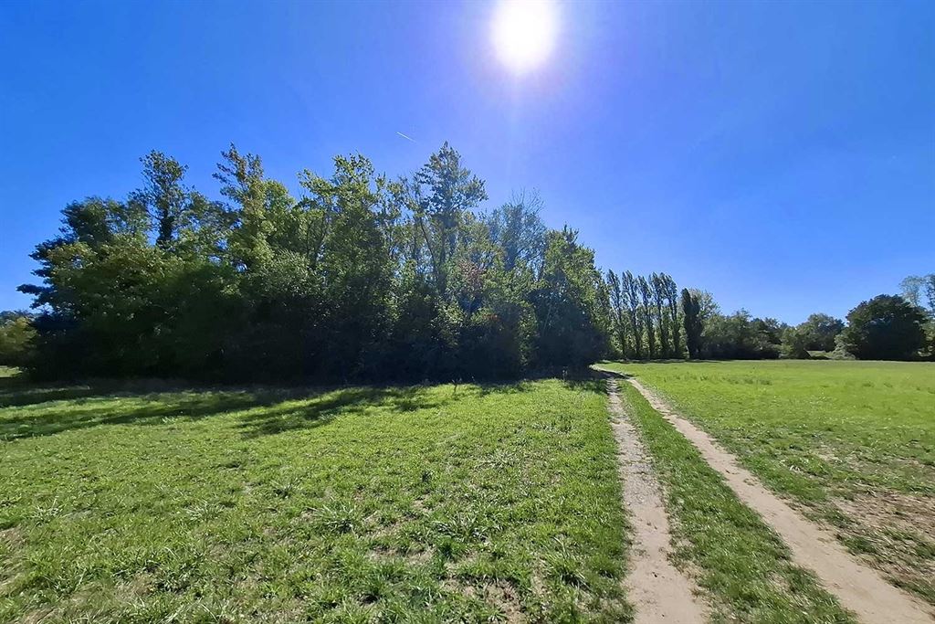 A vendre chez Beguet Associés : Vernou sur Brenne, 37210, Maison 340 m², Maison de gardien et 2 gites 160 m², 8 chambres, piscine, p