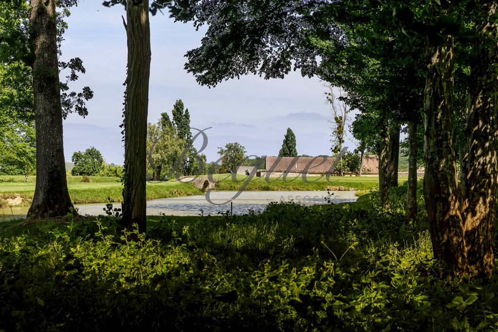 A vendre chez Beguet Associés : SEINE ET MARNE (77) - PROPRIETE - GOLF 18 TROUS MAISONS RESTAURANT GITES - 57 Ha