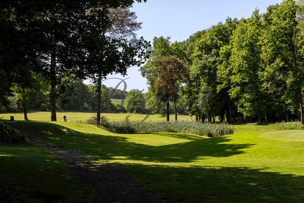 A vendre chez Beguet Associés : SEINE ET MARNE (77) - PROPRIETE - GOLF 18 TROUS MAISONS RESTAURANT GITES - 57 Ha