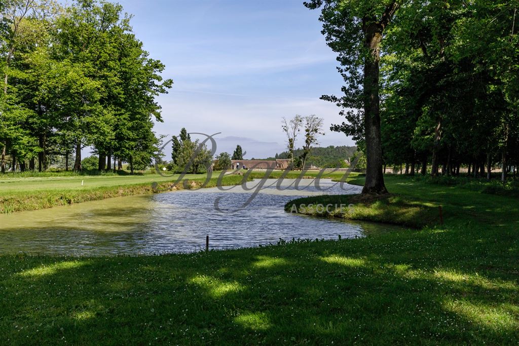 A vendre chez Beguet Associés : SEINE ET MARNE (77) - PROPRIETE - GOLF 18 TROUS MAISONS RESTAURANT GITES - 57 Ha