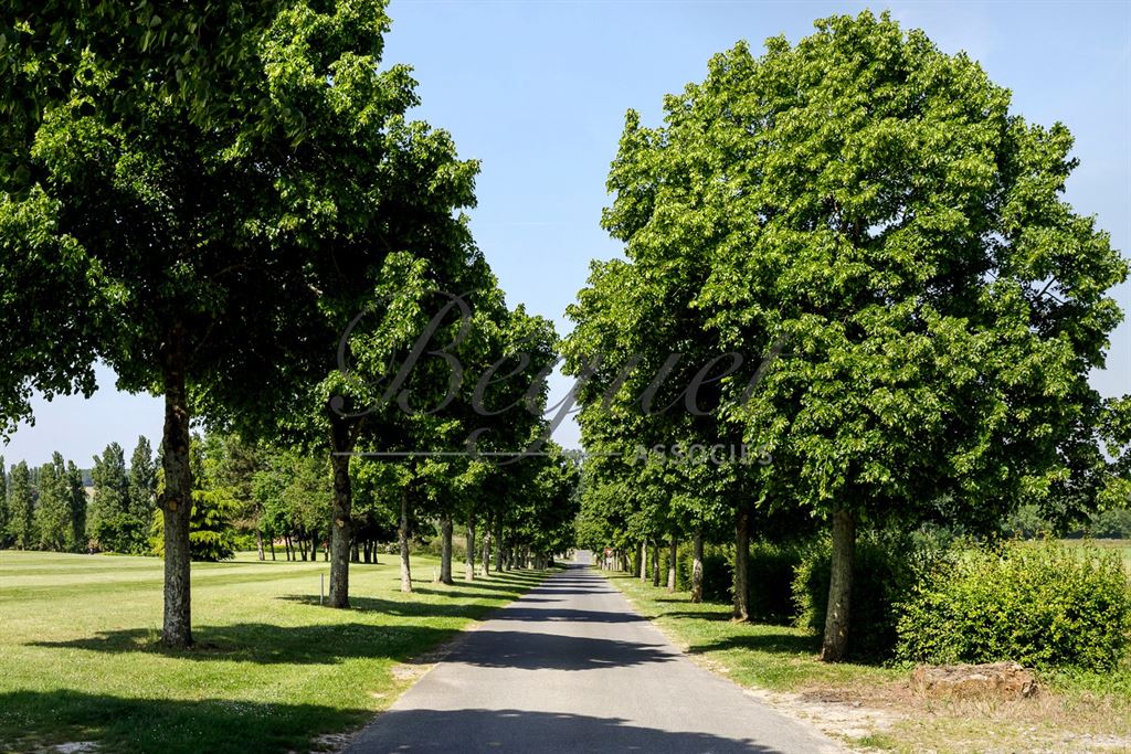 A vendre chez Beguet Associés : SEINE ET MARNE (77) - PROPRIETE - GOLF 18 TROUS MAISONS RESTAURANT GITES - 57 Ha
