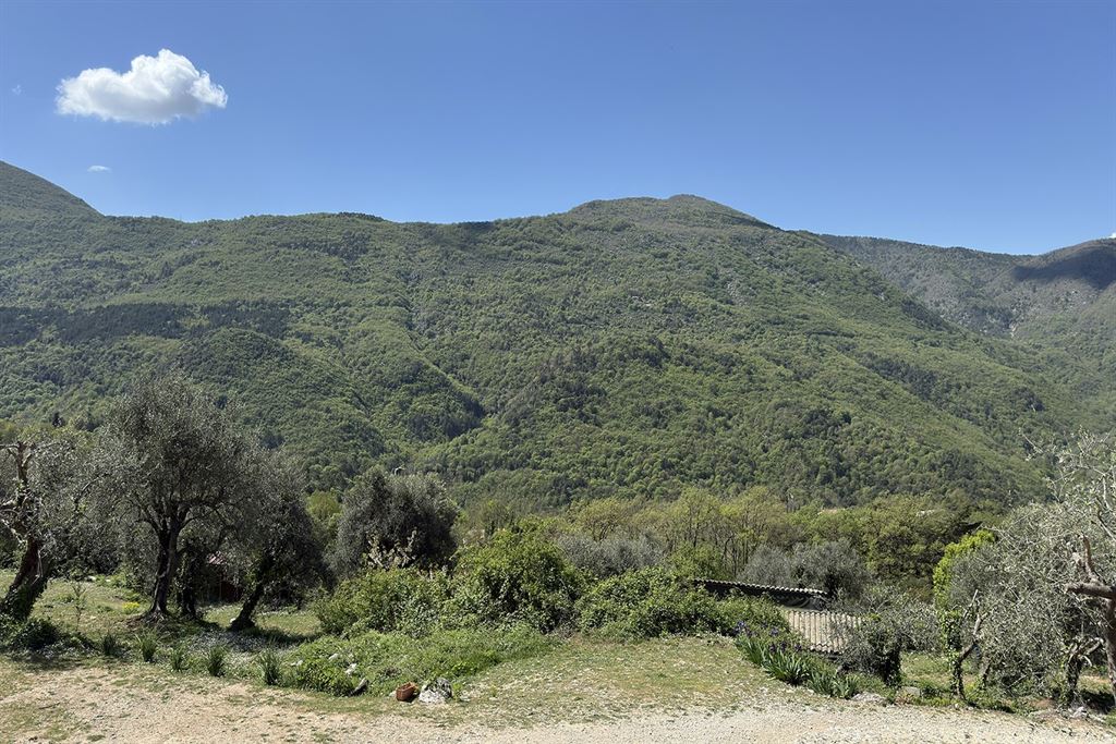 A vendre chez Beguet Associés : FRANCE – CÔTE D’AZUR – SOSPEL 06380 MAISON 233 m² / 321 m² – 8 CHB – BOX CHEVAUX – PISCINE – PARC