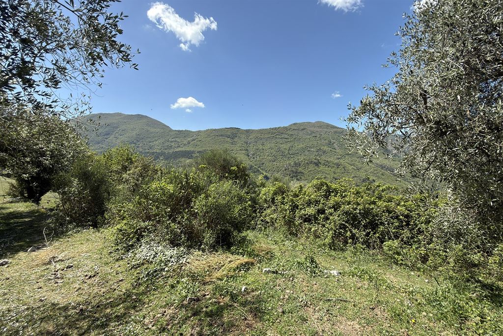 A vendre chez Beguet Associés : FRANCE – CÔTE D’AZUR – SOSPEL 06380 MAISON 233 m² / 321 m² – 8 CHB – BOX CHEVAUX – PISCINE – PARC