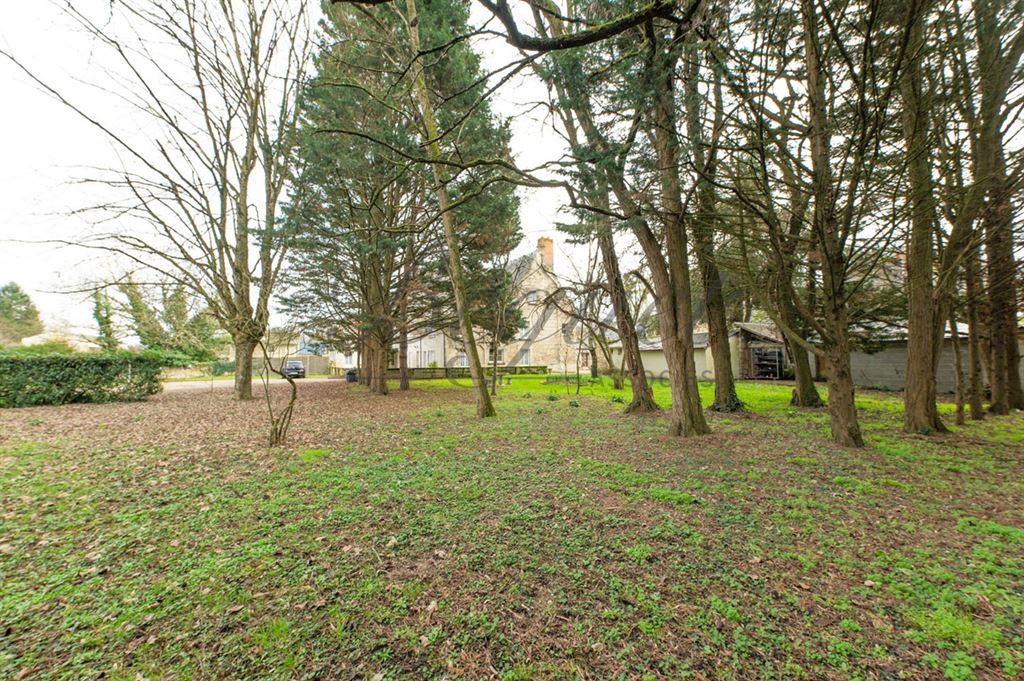 A vendre chez Beguet Associés : Touraine Loire valley, Chinon - Beaumont en Véron, 37420 - Manoir/Hôtel 17e, 555 m², 24 chambres