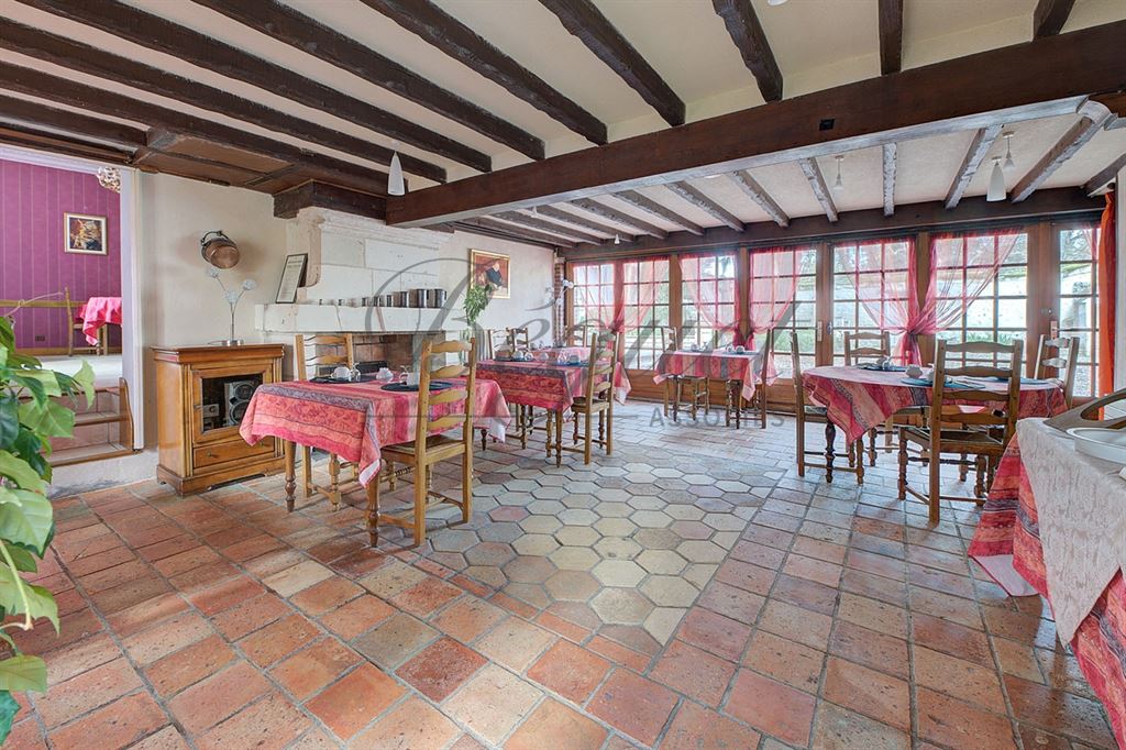 A vendre chez Beguet Associés : Touraine Loire valley, Beaumont-en-Véron, 37420, Manoir-hôtel 550 m² + Réception 400 m², 29 chambres