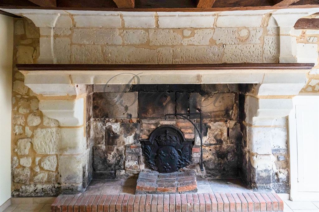 A vendre chez Beguet Associés : Touraine Loire valley, Beaumont-en-Véron, 37420, Manoir-hôtel 550 m² + Réception 400 m², 29 chambres