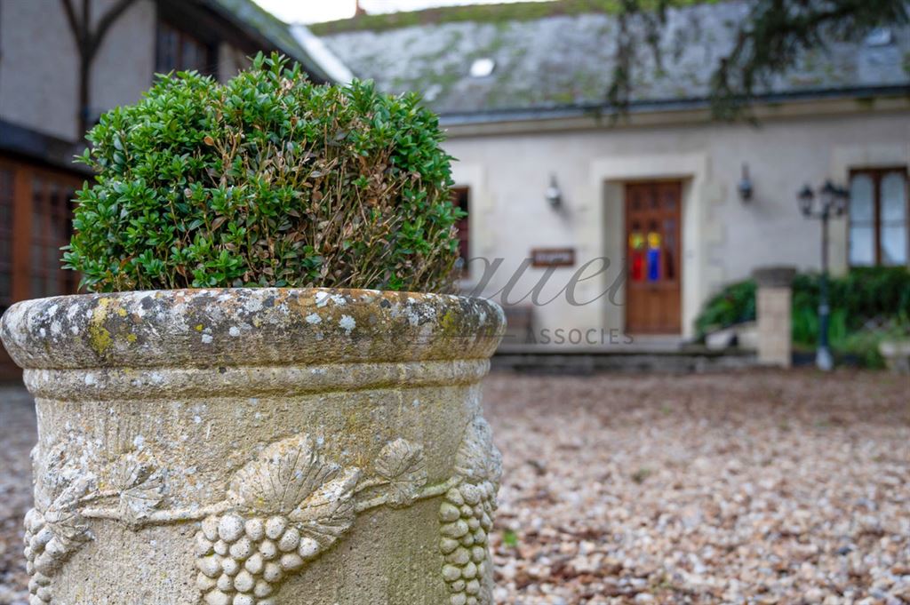 A vendre chez Beguet Associés : Touraine Loire valley, Beaumont-en-Véron, 37420, Manoir-hôtel 550 m² + Réception 400 m², 29 chambres