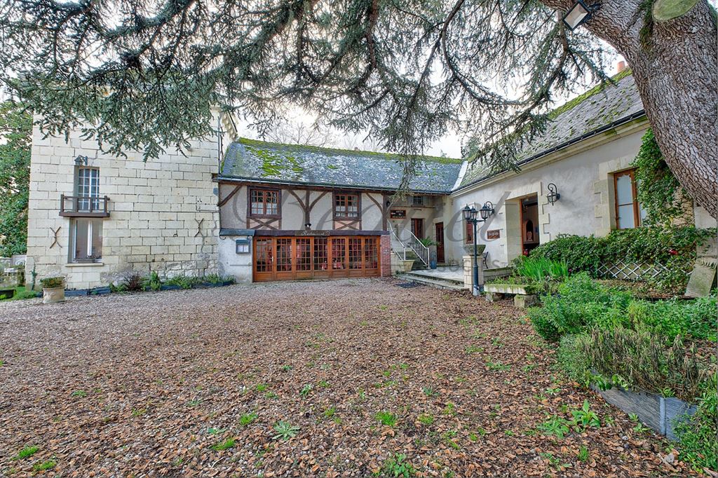 A vendre chez Beguet Associés : Touraine Loire valley, Beaumont-en-Véron, 37420, Manoir-hôtel 550 m² + Réception 400 m², 29 chambres