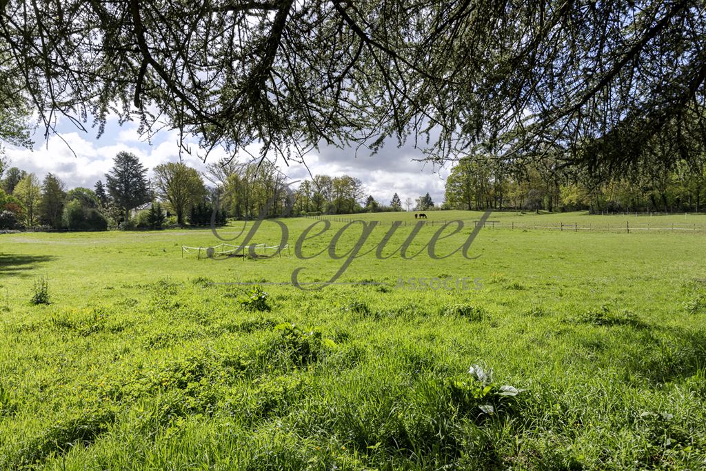 A vendre chez Beguet Associés : FORET DE RAMBOUILLET POIGNY 78125 PROPRIETE EQUESTRE MAISON 360 m²  HERBAGES-FORET 10 Ha