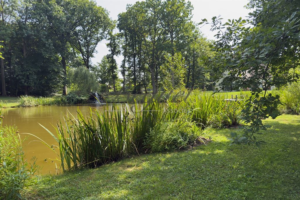 A vendre chez Beguet Associés : OUEST PARIS - MONTFORT L’AMAURY - PROPRIETE  455 m² 4 CHAMBRES PISCINE PARC 4 Ha