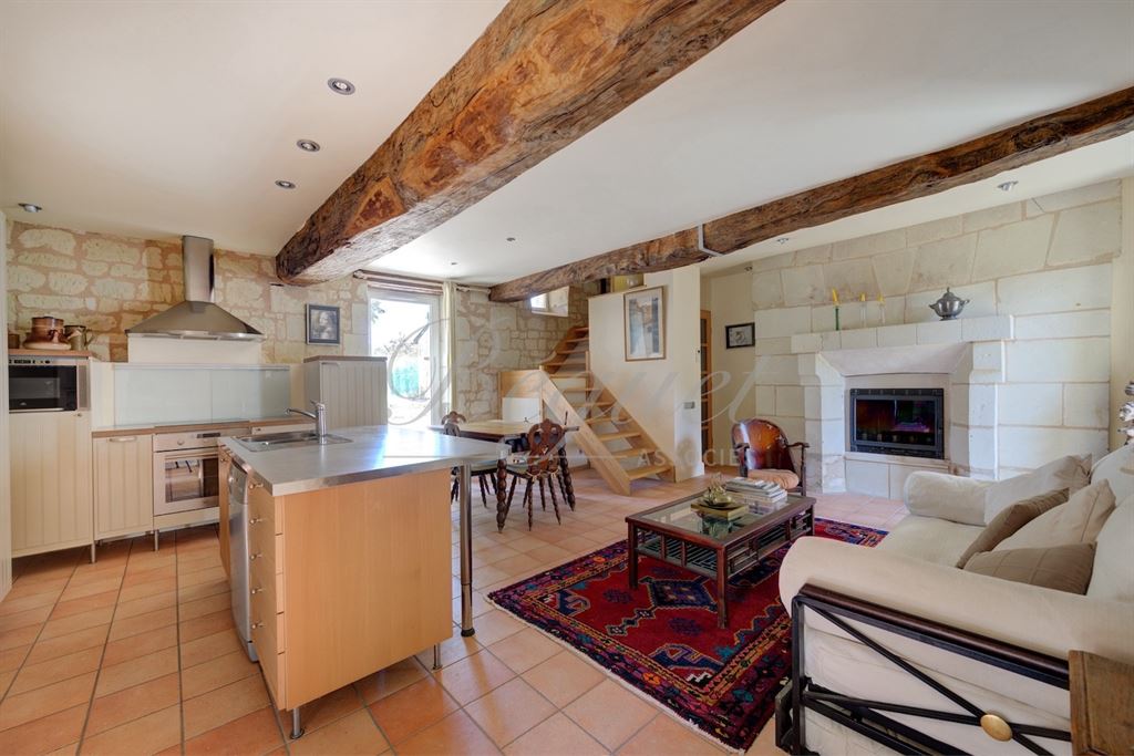 A vendre chez Beguet Associés : INDRE ET LOIRE - CHINON / THIZAY 37500 - MAISON 234 m² - 5 CH - DEUX GITES - PISCINE - PARC 8 000 m²