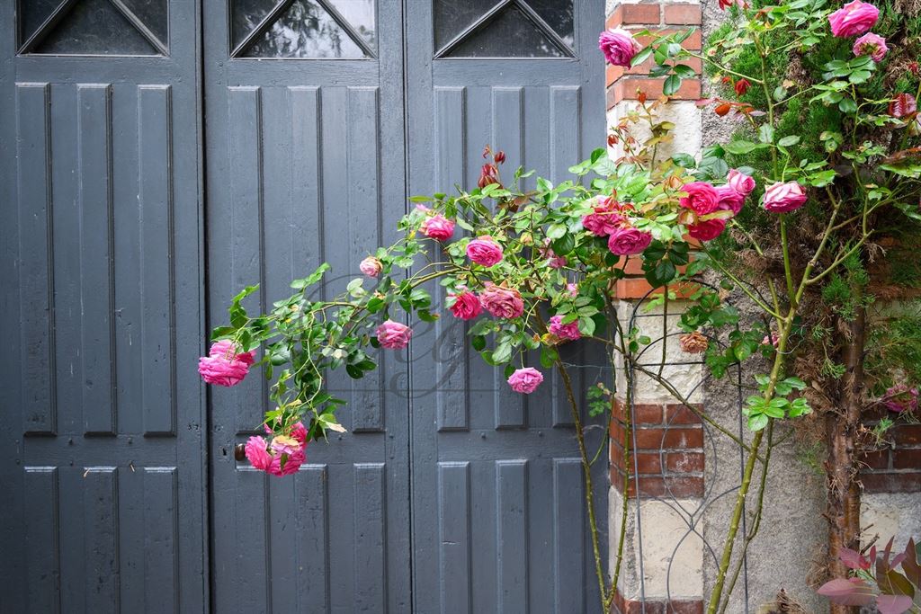 A vendre chez Beguet Associés : Indre et Loire - Hyper centre Tours - 37000 - Maison - 285 m² - 5 chambres - garage - Jardin