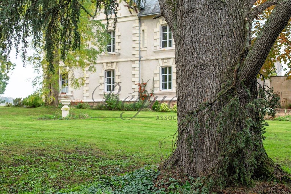 A vendre chez Beguet Associés : Côteaux-sur-Loire - Touraine - 37130 - 350 m² - 10 pièces - 7 chambres - piscine - parc 6 hectares