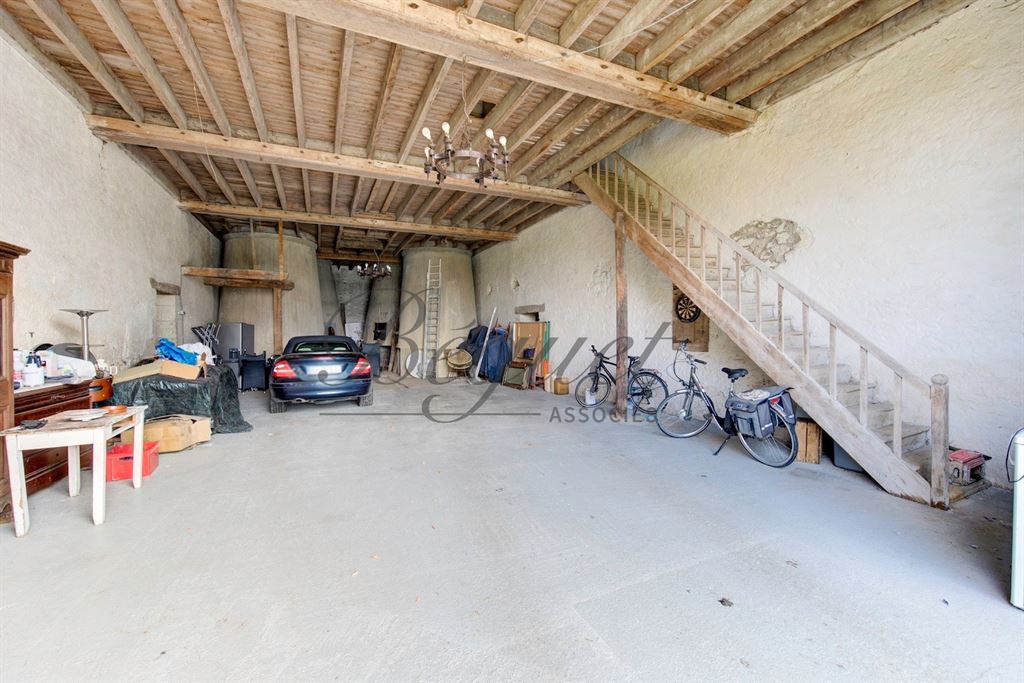 A vendre chez Beguet Associés : Côteaux-sur-Loire - Touraine - 37130 - 350 m² - 10 pièces - 7 chambres - piscine - parc 6 hectares