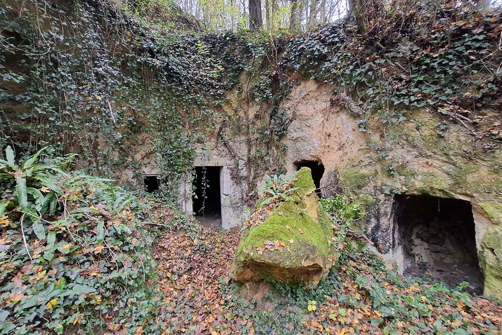 A vendre chez Beguet Associés : Côteaux-sur-Loire - Touraine - 37130 - 350 m² - 10 pièces - 7 chambres - piscine - parc 6 hectares