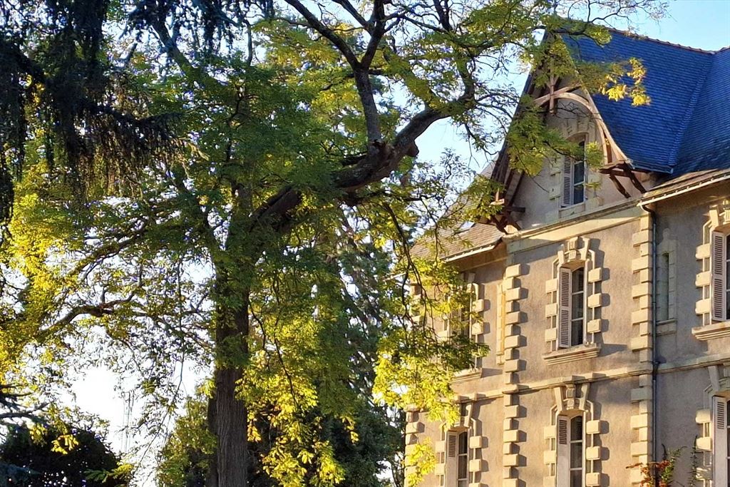 A vendre chez Beguet Associés : Côteaux-sur-Loire - Touraine - 37130 - 350 m² - 10 pièces - 7 chambres - piscine - parc 6 hectares