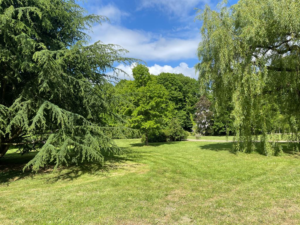 A vendre chez Beguet Associés : LOUVECIENNES 78430 MAISON 500 m² 6 CHAMBRES PARC
