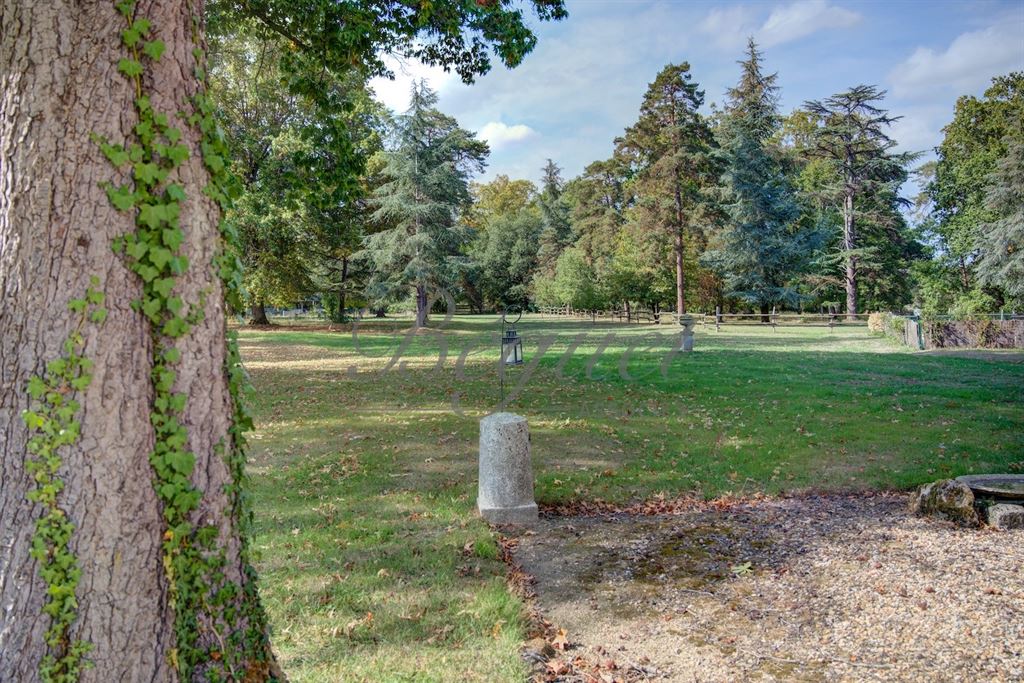 A vendre chez Beguet Associés : Azay-le-Rideau (37190) – Château de 1900 de 1060 m², 17 chambres, parc de 2,7 ha – près de Tours, Indre-et-Loire, Centre-Val de Loire